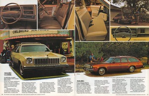 1975 Chevrolet Wagons (Cdn)-10-11.jpg